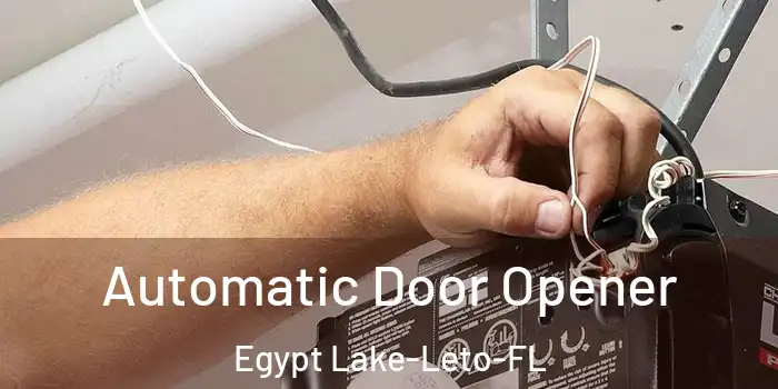 Automatic Door Opener Egypt Lake-Leto-FL