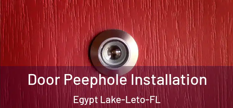  Door Peephole Installation Egypt Lake-Leto-FL