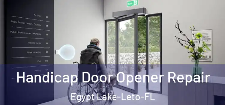 Handicap Door Opener Repair Egypt Lake-Leto-FL