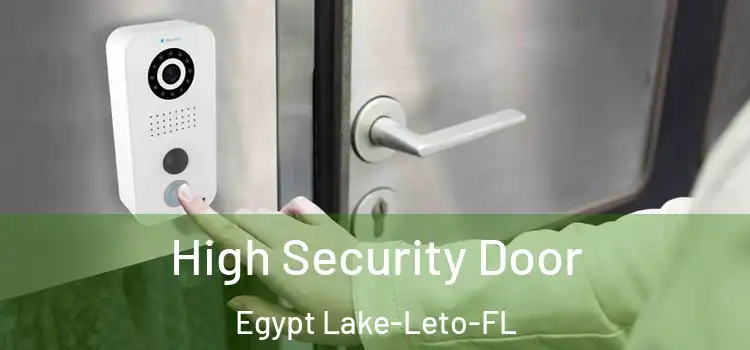  High Security Door Egypt Lake-Leto-FL