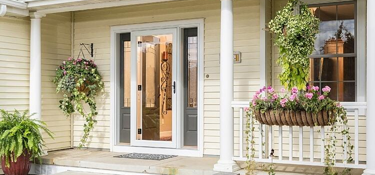 screen door installation in Egypt Lake-Leto