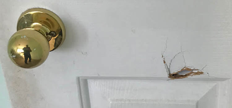 interior door hole repair Egypt Lake-Leto