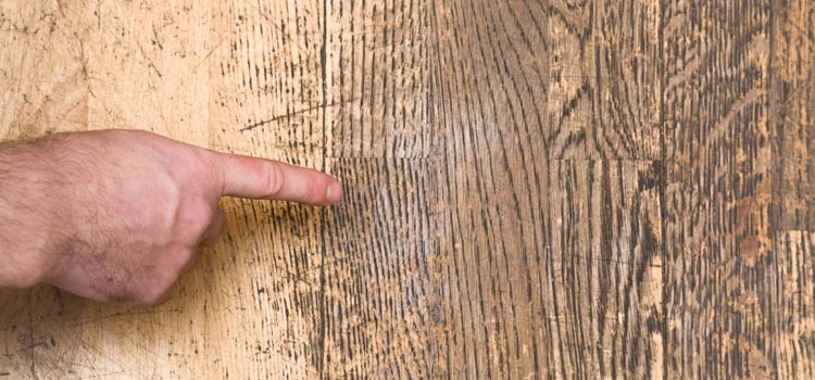 Wood Door Scratch Repair in Egypt Lake-Leto
