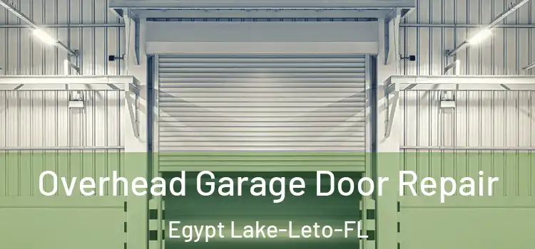  Overhead Garage Door Repair Egypt Lake-Leto-FL
