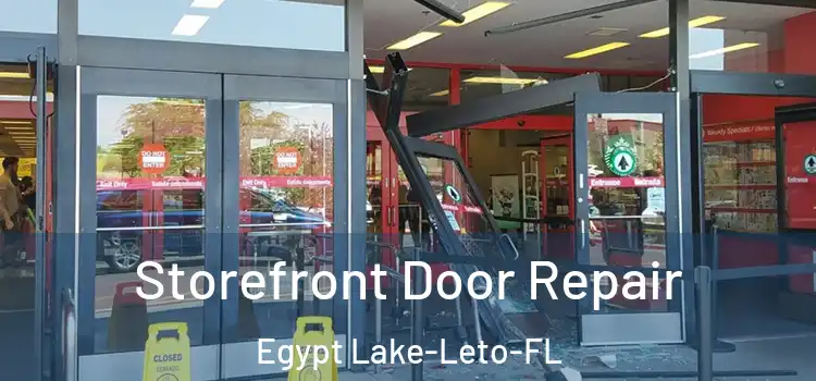 Storefront Door Repair Egypt Lake-Leto-FL